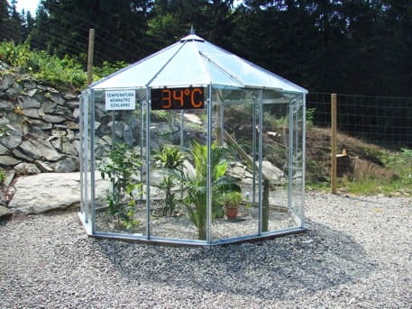 Edukacyjna szklarnia