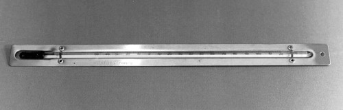Termometr klasyczny T006