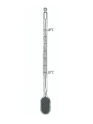 Katatermometr T017